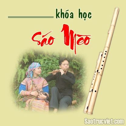 Hình ảnh của Khóa Học Thổi Sáo Mèo