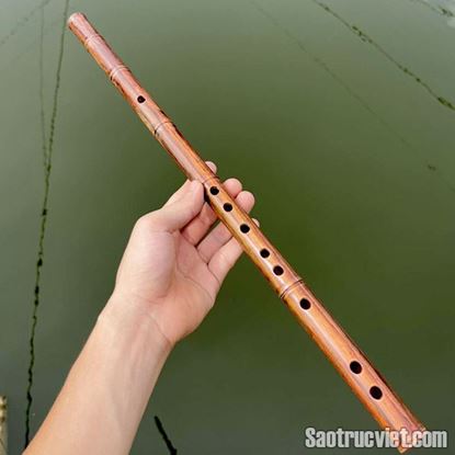 Hình ảnh của Sáo Gỗ