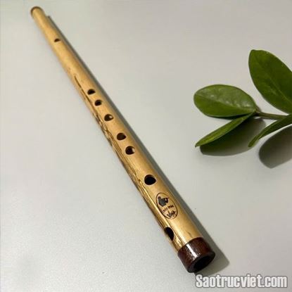 Hình ảnh của Sáo Nứa Bắc S+