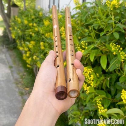 Hiện chi thiết của Sáo Si Giáng Bb4 Hình ảnh của Sáo Si Giáng Bb4