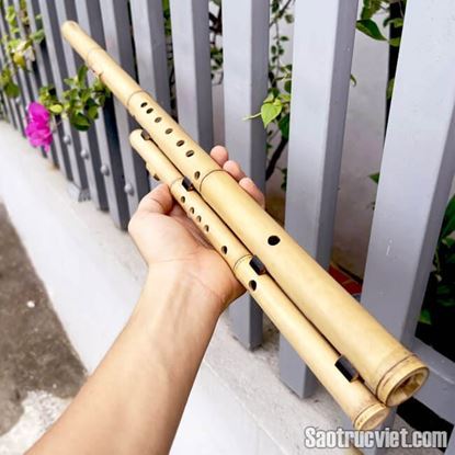 Hình ảnh của Sáo Mèo Kép Trúc Bạch