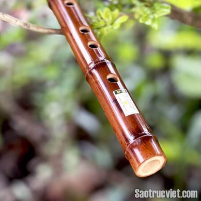 Hình ảnh của Sáo Trúc Hun S1