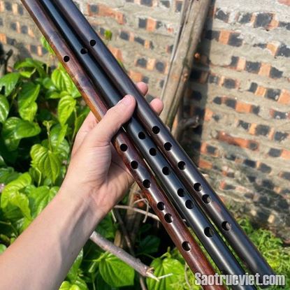 Hình ảnh của Sáo Gỗ